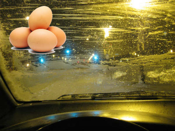 Eggs On Cars