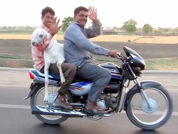 బైకు కొంటే మేక ఉచితం