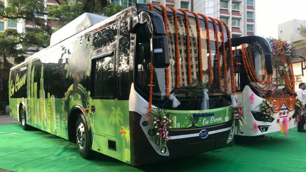 గోల్డ్స్టోన్ ఎలక్ట్రిక్ బస్సులు