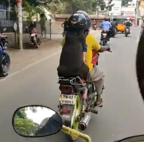 హెల్మెట్ ధరించి బైక్ పై వెళ్లిన కుక్కను ఎప్పుడైనా చూసారా.....అయితే ఇప్పుడే చూడండి!