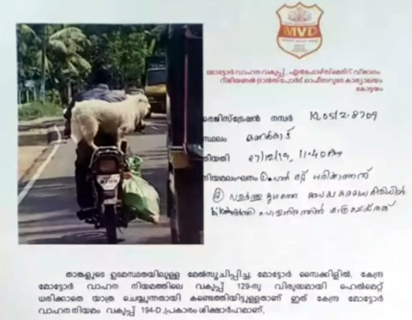 బైకుపై కుక్కతో ప్రయాణించిన వ్యక్తికి జరిమానా