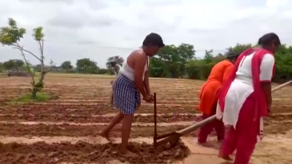 వ్యవసాయ పనుల్లో కాడెద్దులుగా మారిన అక్కా చెల్లెలు ; చలించిపోయి ట్రాక్టర్ ఇచ్చిన సోనూ సూద్