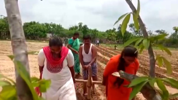 వ్యవసాయ పనుల్లో కాడెద్దులుగా మారిన అక్కా చెల్లెలు ; చలించిపోయి ట్రాక్టర్ ఇచ్చిన సోనూ సూద్