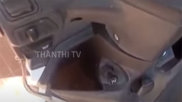 స్కూటర్లో గూడు కట్టిన పిచ్చుక ; 3 నెలలుగా స్కూటర్ తాకని లాయర్