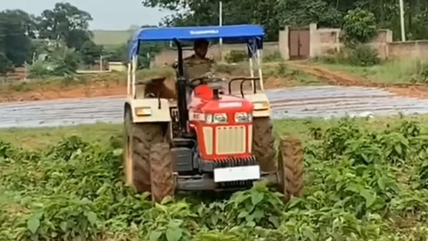 మరోసారి వైరల్ అయిన మహేంద్ర సింగ్ ధోని వీడియో : అదేంటో తెలుసా !