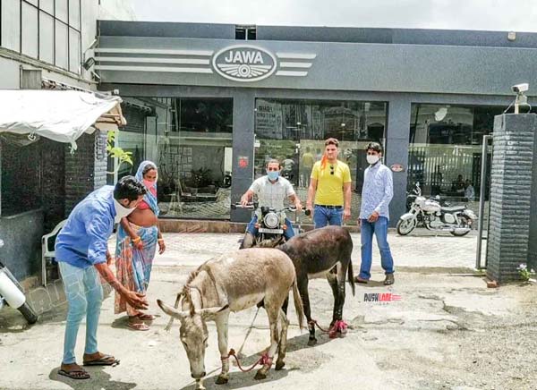 గాడిదలను డీలర్షిప్కు తీసుకువచ్చిన జావా బైక్ ఓనర్, ఎందుకో తెలుసా ?