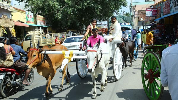 లగ్జరీ కార్లను కాదని ఎద్దులబండిలో ప్రయాణించిన కొత్త జంట.. ఎందుకో తెలుసా ?