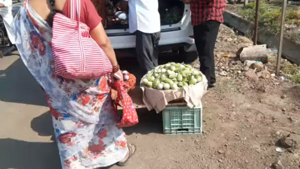 కూరగాయల అమ్మకానికి కొత్త టయోటా ఫార్చ్యూనర్.. వినటానికి వింతగా ఉన్నా, ఇది నిజమే