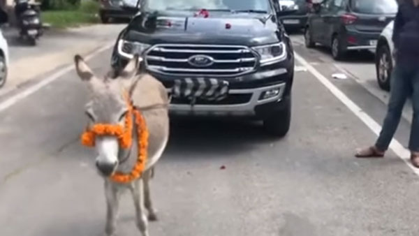 సర్వీస్ విషయంలో చిర్రెత్తిన ఓనర్.. కారును గాడిదకు కట్టి డీలర్షిప్కు..