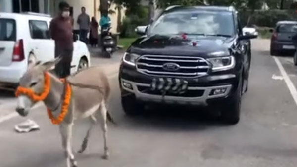 సర్వీస్ విషయంలో చిర్రెత్తిన ఓనర్.. కారును గాడిదకు కట్టి డీలర్షిప్కు..