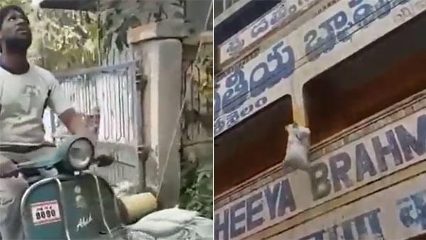 సామాన్యుడి ఆవిష్కరణకు ఫిదా అయిపోయిన ఆనంద్ మహీంద్రా సామాన్యుడి ఆవిష్కరణకు ఫిదా అయిపోయిన ఆనంద్ మహీంద్రా